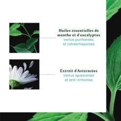 René Furterer Furterer Astera Head Spa Concentré Apaisant Fraîcheur - Contenance : 50 Ml 10 René Furterer Furterer Astera Head Spa Concentré Apaisant Fraîcheur - Contenance : 50 Ml -René furterer Soldes Magasin 66757274657265722d6173746572612d636f6e63656e7472652d6170616973616e742d6672616963686575722d3350451bc4