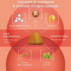 COOPER Oenobiol Gummies Pure Glow - Contenance : 60 Gommes -René furterer Soldes Magasin 6f656e6f62696f6c2d676f6d6d65732d707572652d676c6f772d616e74692d696d70657266656374696f6e732d325c8829e8