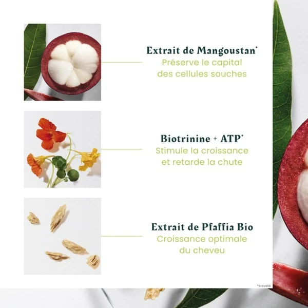 René Furterer Triphasic Progressive Sérum Antichute Flacons - Contenance : 8 X 5,5 Ml 5 René Furterer Triphasic Progressive Sérum Antichute Flacons - Contenance : 8 X 5,5 Ml – Image 5