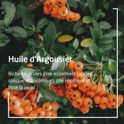 Weleda Argousier Huile Dynamisante Bio - Contenance : 100 Ml -René furterer Soldes Magasin 77656c6564612d6172676f75736965722d6875696c652d64796e616d6973616e74652d62696f2d319b253ac2