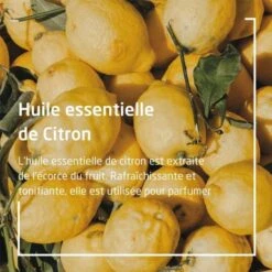 Weleda Citrus Huile Vivifiante Bio - Contenance : 100 Ml -René furterer Soldes Magasin 77656c6564612d6369747275732d6875696c652d766976696669616e74652d62696f2d3202dca227