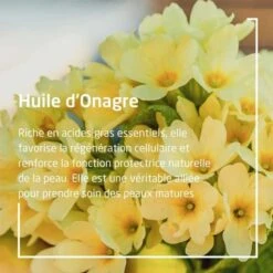 Weleda Onagre Huile Revitalisante Bio - Contenance : 100 Ml -René furterer Soldes Magasin 77656c6564612d6f6e616772652d6875696c652d7265766974616c6973616e74652d62696f2d3154c6df7e